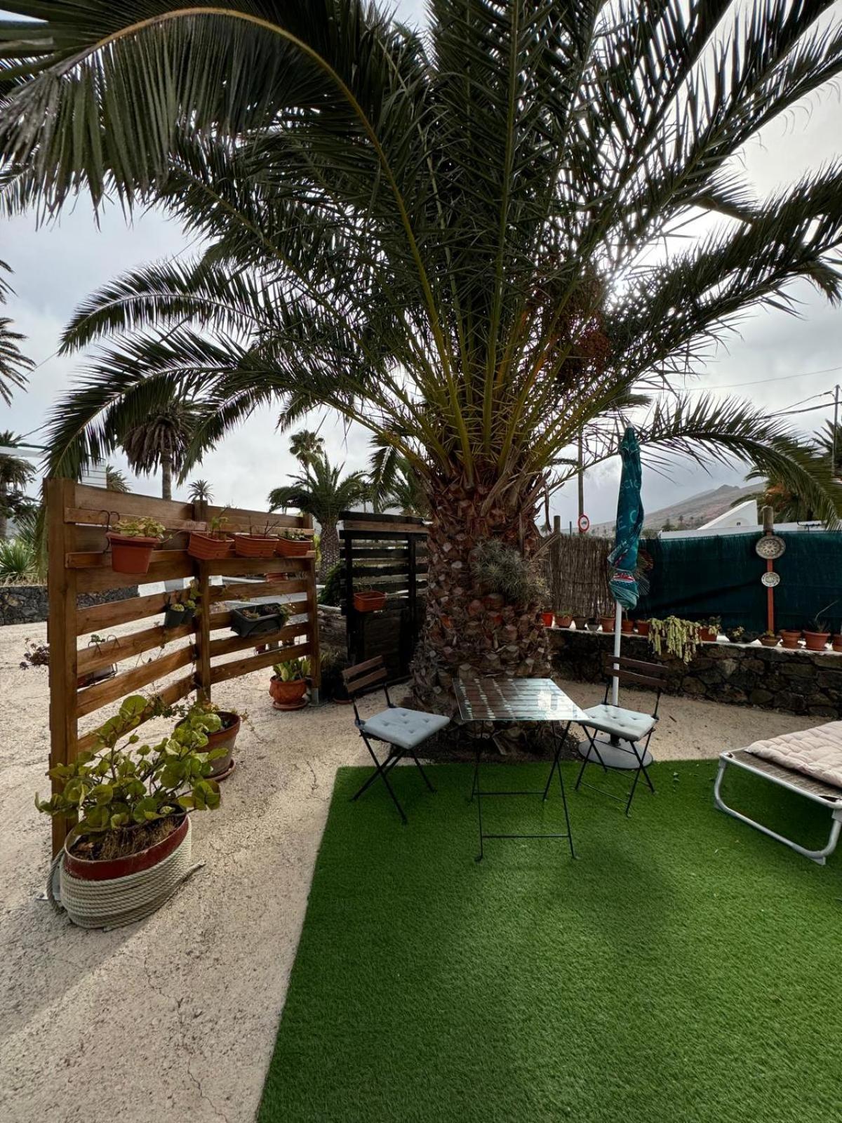 Casa Palmera Y Casa Datil Haría الغرفة الصورة